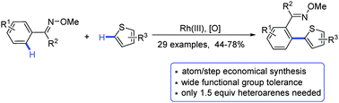 Graphical abstract: Rh(iii)-catalyzed oxime ether-directed heteroarylation of arene through oxidative C–H/C–H cross-coupling