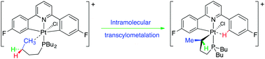 Graphical abstract: Intramolecular transcyclometallation: the exchange of an aryl–Pt bond for an alkyl–Pt bond via an agostic intermediate