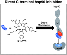 Graphical abstract: The first report of direct inhibitors that target the C-terminal MEEVD region on heat shock protein 90