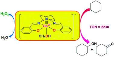 Graphical abstract: Catalytic oxidation of alkanes by a (salen)osmium(vi) nitrido complex using H2O2 as the terminal oxidant