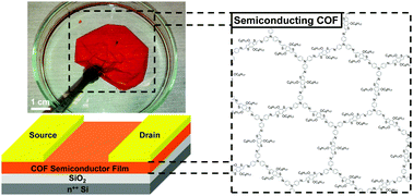 Graphical abstract: Few-layer, large-area, 2D covalent organic framework semiconductor thin films