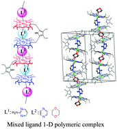 Graphical abstract: Metal-coordination-driven mixed ligand binding in supramolecular bisporphyrin tweezers