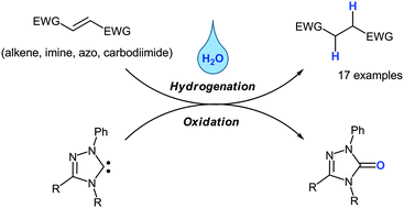 Graphical abstract: Transfer hydrogenation promoted by N-heterocyclic carbene and water