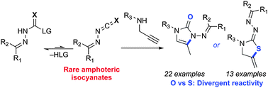 Graphical abstract: Diversity-oriented heterocyclic synthesis using divergent reactivity of N-substituted iso(thio)cyanates