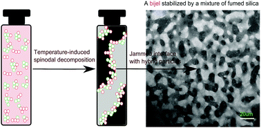 Graphical abstract: Stabilizing bijels using a mixture of fumed silica nanoparticles