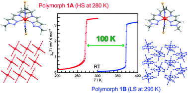 Graphical abstract: A polymorphism-dependent T1/2 shift of 100 K in a hysteretic spin-crossover complex related to differences in intermolecular weak CH⋯X hydrogen bonds (X = S vs. S and N)