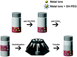 Graphical abstract: A foolproof method for phase transfer of metal nanoparticles via centrifugation