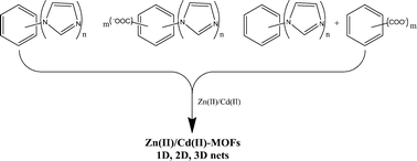 Graphical abstract: Zinc(ii)– and cadmium(ii)–organic frameworks with 1-imidazole-containing and 1-imidazole-carboxylate ligands