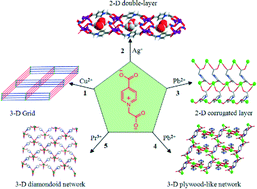 Graphical abstract: Structural diversity in coordination polymers with a semirigid Lewis acidity ligand: structures and properties