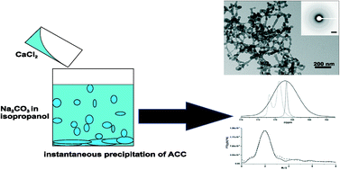 Graphical abstract: Disordered amorphous calcium carbonate from direct precipitation