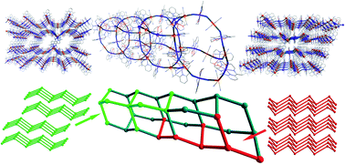 Graphical abstract: A heterometallic nanosized tube {Fe[(CN)6]2[Co(LN3O2)]3}n and two of its lamellar polymorphous isomers