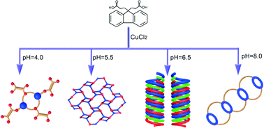 Graphical abstract: pH-Dependent supramolecular self-assemblies of copper(ii) (fluorene-9,9-diyl)dipropanoic acid complexes
