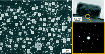 Graphical abstract: Epitaxial growth of orthorhombic NaTaO3 crystals on SrTiO3 (100) surface by flux coating