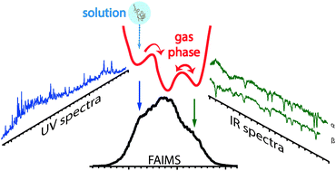 Graphical abstract: Spectroscopic studies of kinetically trapped conformations in the gas phase: the case of triply protonated bradykinin