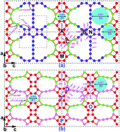 Graphical abstract: Prediction of two planar carbon allotropes with large meshes