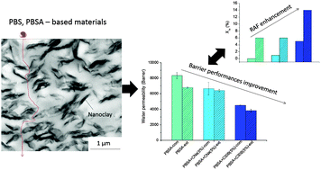 Graphical abstract: Structure–barrier property relationship of biodegradable poly(butylene succinate) and poly[(butylene succinate)-co-(butylene adipate)] nanocomposites: influence of the rigid amorphous fraction