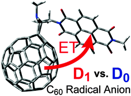 Graphical abstract: Dual electron transfer pathways from the excited C60 radical anion: enhanced reactivities due to the photoexcitation of reaction intermediates
