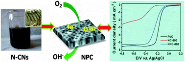 Graphical abstract: Shrimp-shell derived carbon nanodots as carbon and nitrogen sources to fabricate three-dimensional N-doped porous carbon electrocatalysts for the oxygen reduction reaction