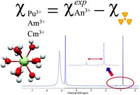 Graphical abstract: Magnetic susceptibility of actinide(iii) cations: an experimental and theoretical study