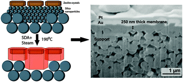 Graphical abstract: Zeolite membranes – a review and comparison with MOFs