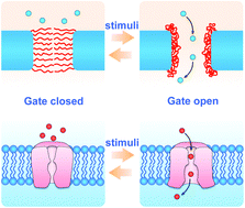 Graphical abstract: Stimuli-responsive smart gating membranes