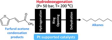 Graphical abstract: Towards understanding the hydrodeoxygenation pathways of furfural–acetone aldol condensation products over supported Pt catalysts