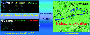 Graphical abstract: Self-assembly synthesis of reduced graphene oxide-supported platinum nanowire composites with enhanced electrocatalytic activity towards the hydrazine oxidation reaction