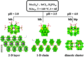 Graphical abstract: Assembly of a basket-like {Sr ⊂ P6Mo18O73} cage from 0D dimmer to 2D network and its photo-/electro-catalytic properties