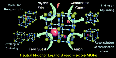 Graphical abstract: Neutral N-donor ligand based flexible metal–organic frameworks
