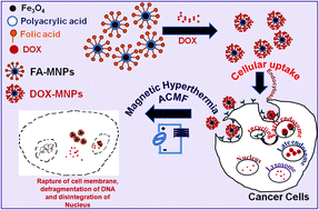 Graphical abstract: A pH-responsive folate conjugated magnetic nanoparticle for targeted chemo-thermal therapy and MRI diagnosis