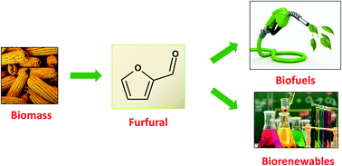 Graphical abstract: Furfural: a renewable and versatile platform molecule for the synthesis of chemicals and fuels