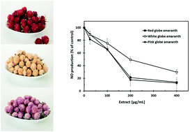 Graphical abstract: A comparison of the bioactivity and phytochemical profile of three different cultivars of globe amaranth: red, white, and pink