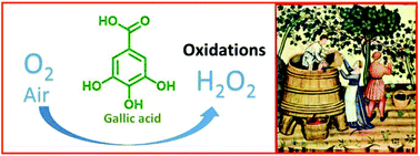 Graphical abstract: Sustainable oxidations with air mediated by gallic acid: potential applicability in the reutilization of grape pomace