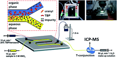Graphical abstract: A novel method for the online measurement of impurities in uranium by coupling microfluidics with ICP-MS