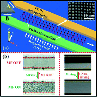 Graphical abstract: Design and fabrication of magnetically functionalized flexible micropillar arrays for rapid and controllable microfluidic mixing