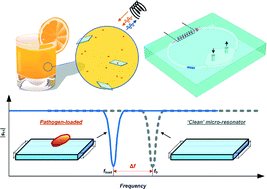 Graphical abstract: A wireless bio-sensing microfluidic chip based on resonating ‘μ-divers’