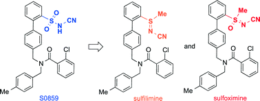 Graphical abstract: Synthesis of N-cyano-substituted sulfilimine and sulfoximine derivatives of S0859 and their biological evaluation as sodium bicarbonate co-transport inhibitors