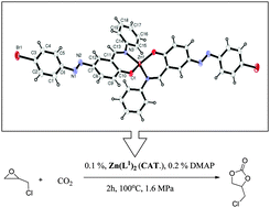 Graphical abstract: Chemical fixation of CO2 into cyclic carbonates by azo-containing Schiff base metal complexes