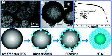 Graphical abstract: Hollow TiO2 microspheres: template-free synthesis, remarkable structure stability, and improved photoelectric performance