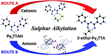 Graphical abstract: Alkyl-functionalization of 3,5-bis(2-pyridyl)-1,2,4,6-thiatriazine
