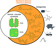 Graphical abstract: Defensive symbioses of animals with prokaryotic and eukaryotic microorganisms