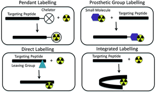 Graphical abstract: Molecular imaging probes derived from natural peptides