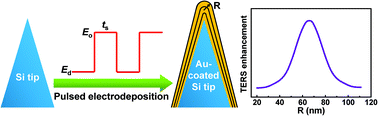 Graphical abstract: Rational fabrication of a gold-coated AFM TERS tip by pulsed electrodeposition
