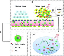 Graphical abstract: A dual pH/thermal responsive nanocarrier for combined chemo-thermotherapy based on a copper–doxorubicin complex and gold nanorods