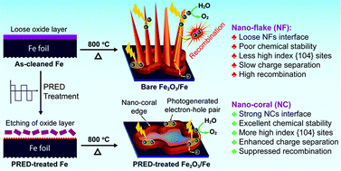 Graphical abstract: PRED treatment mediated stable and efficient water oxidation performance of the Fe2O3 nano-coral structure