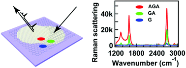 Graphical abstract: Surface-enhanced Raman scattering from AgNP–graphene–AgNP sandwiched nanostructures