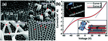 Graphical abstract: Preparation, optical and electrical properties of PTCDA nanostructures