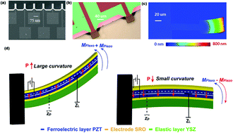 Graphical abstract: Flexoelectric MEMS: towards an electromechanical strain diode