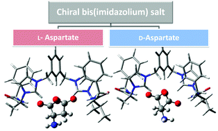 Graphical abstract: Application of optically active chiral bis(imidazolium) salts as potential receptors of chiral dicarboxylate salts of biological relevance