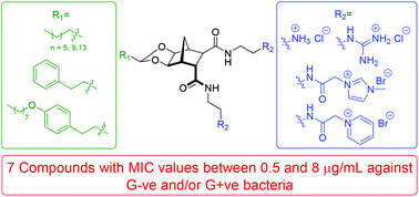 Graphical abstract: Synthesis and evaluation of cationic norbornanes as peptidomimetic antibacterial agents